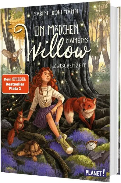 Titel: Ein Mädchen namens Willow 6: Zwischenzeit